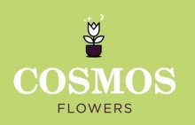Cosmos Flowers Logo