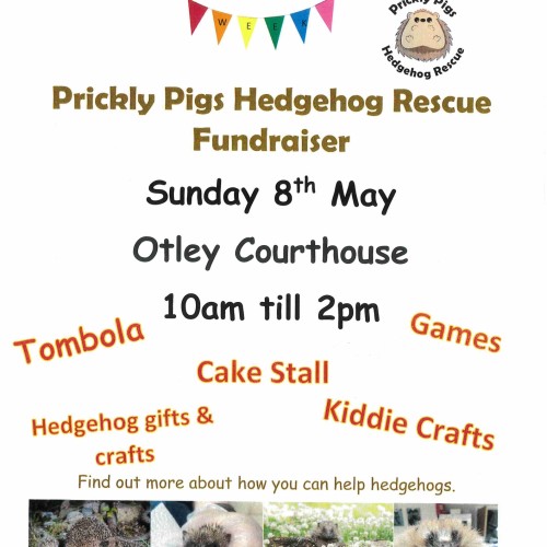 06 Prickly Pigs Fundraiser at Otley Courthouse