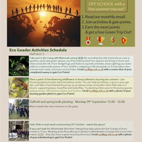 Eco Activities Schedule Term 1